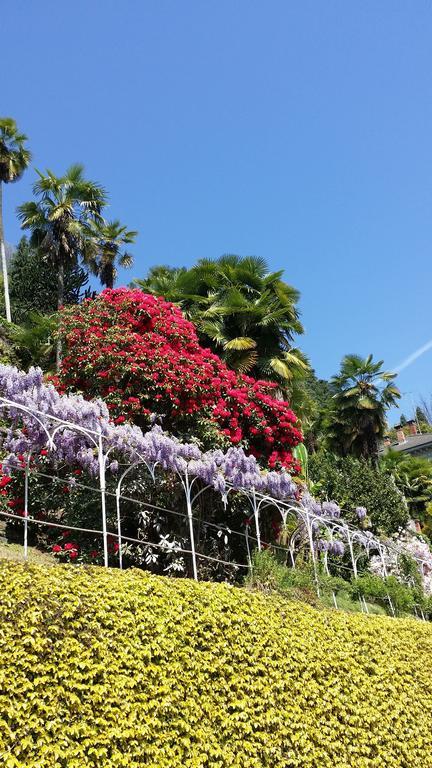 Appartamenti Orta Orta San Giulio Rom bilde